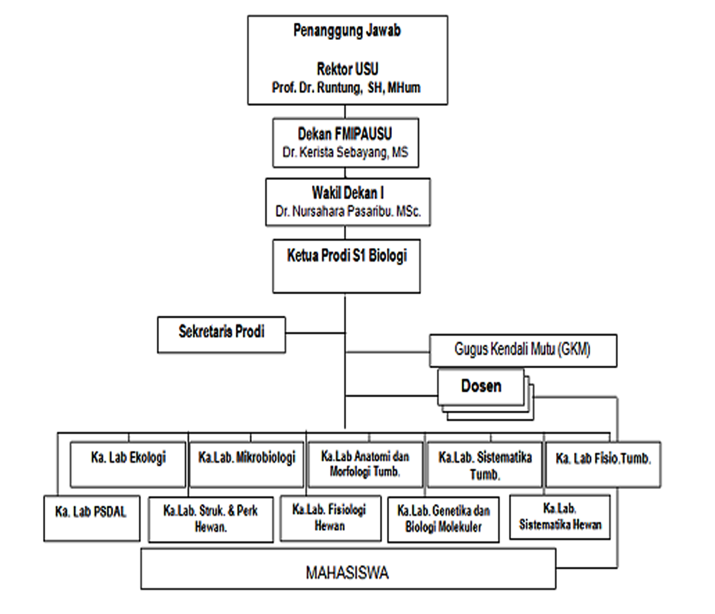 struktur organisasi S3 Biologi